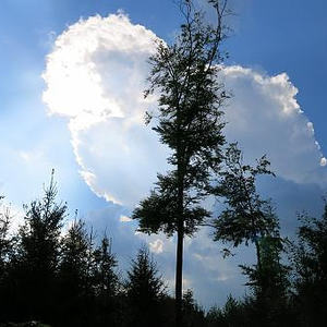 Naturerlebnisweg Pfarrwald Vöcklabruck