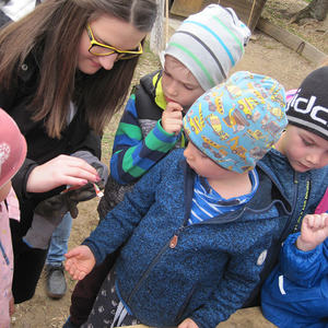 Landjugend Sarleinsbach