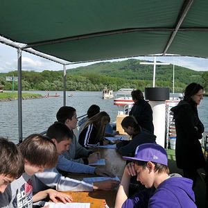 Firmprojekt Hochbeet