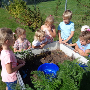 Gesunder Kindergarten