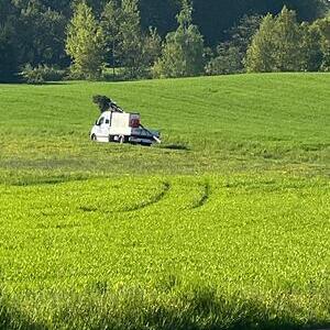 Maibaum, wo bist du?