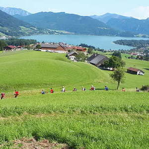 dem Mondsee entgegen