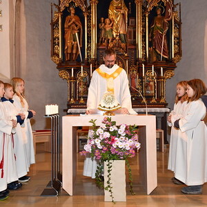 am 20. November 2022