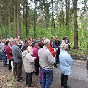 Kreuzweg am Schiltenberg