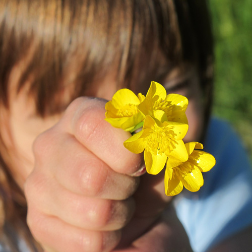 Fachausschuss  Jugend- und Kinderpastoral