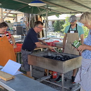 Flohmarkt 26