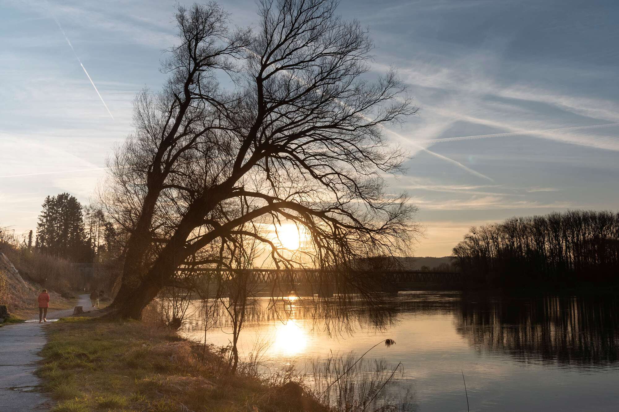 Fluß mit Baum und Weg bei Sonnenuntergang