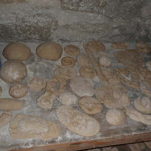 Pfarre Neumarkt im Mühlkreis