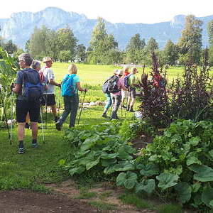 Gemeinschaftsgarten in Mondsee