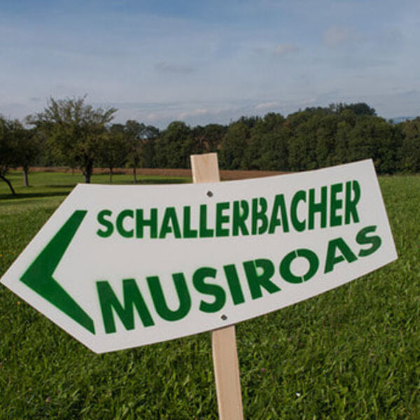 1. Schallerbacher Musiroas