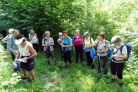 Pfarr-Fußwallfahrt - 5. Juni 2021 / Karl Schinagl Ottensheim - Guckerstein - Vorderholzer Kapelle - Koglerauerspitz - Pöstlingberg