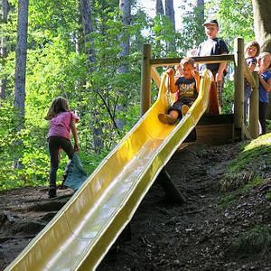 Naturerlebnisweg Pfarrwald Vöcklabruck