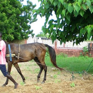 Impressionen aus Senegal