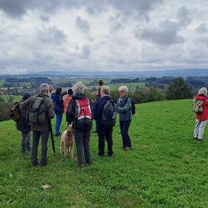 'Schau-ins-Land' bei Hehenberg