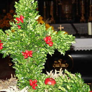 Erntedankfest Kirche Maria Schauersberg 2014