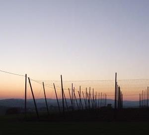 Wallfahrt Maria Bründl