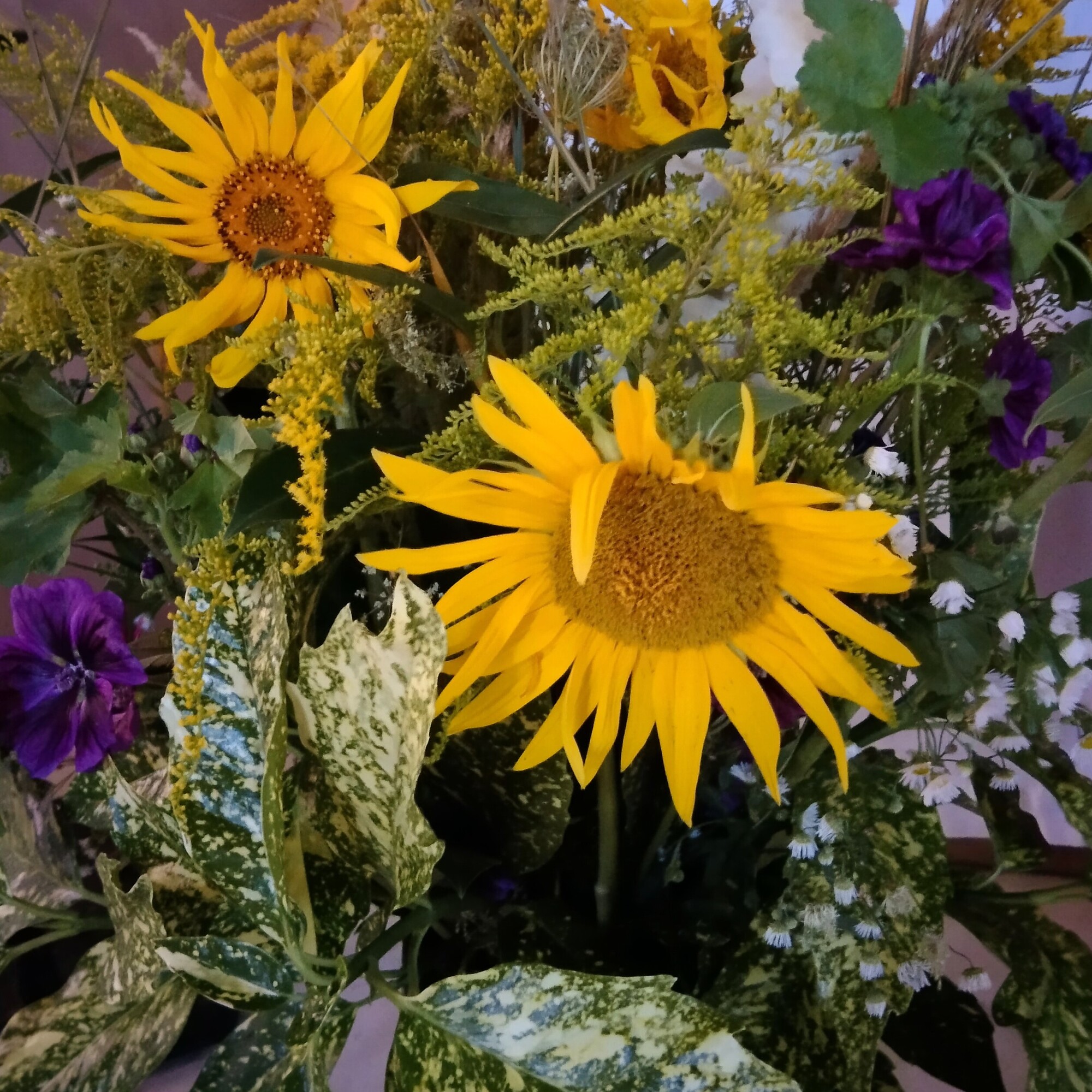 Sonnenblumen