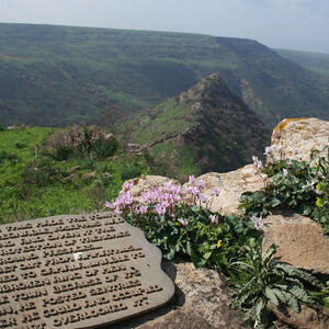 Pilgerreise nach Israel