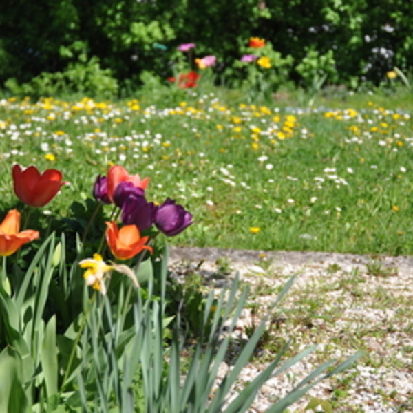 Pfarrgarten