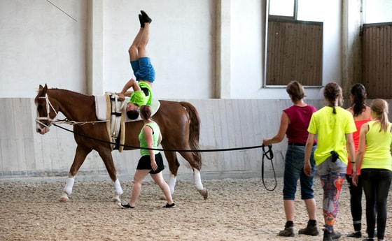 Vorführung der Voltigiergruppe RT 24 / © Caritas OÖ Vorführung der Voltigiergruppe RT 24