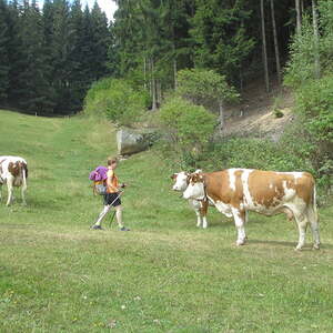 Redaktionsausflug 2015