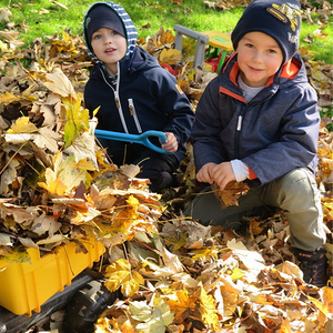 Blätter fallen von den Bäumen