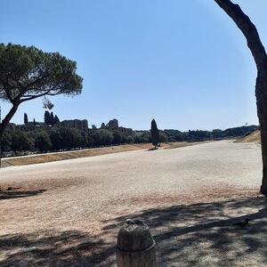 Dahinter ist der Circus Maximus, unser letzter gemeinsamer Programmpunkt.