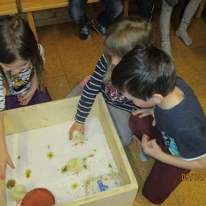 Projekt im März und April 2019