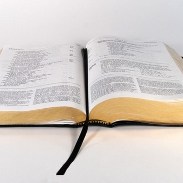 Vorschläge für Lesungen und Evangelien