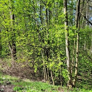 Bad Füssing