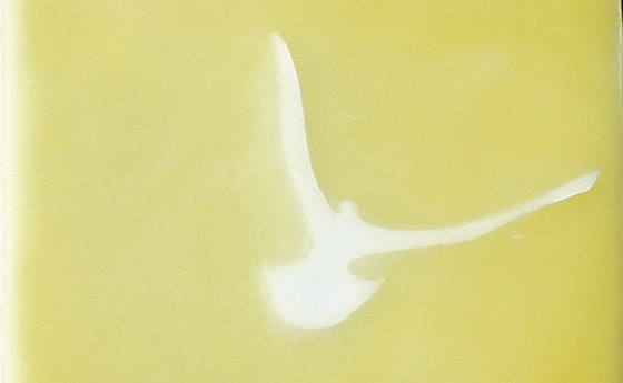 Taube Heiliger Geist