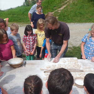 Pfarre Neumarkt im Mühlkreis