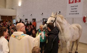 Pippi-Langstrumpf-Pferd Foxi wird gesegnet