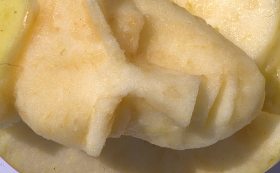 ich bin vergangen, du bist / © Hannelore Demel-Lerchster ich bin vergangen, du bist