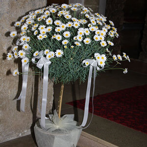 Messe für Ehejubilare am 22.05.2011