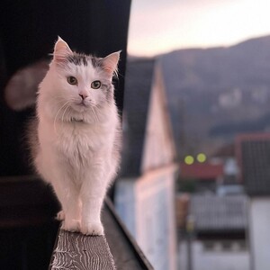 Fotowettbewerb Pfarre Ennstal