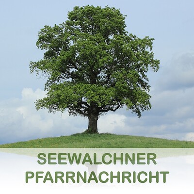 Pfarrnachricht September