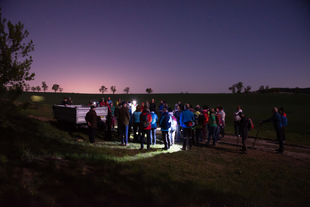 Pause mit Impuls / FOThOMarkowetz, Thomas Markowetz Pause mit Impuls