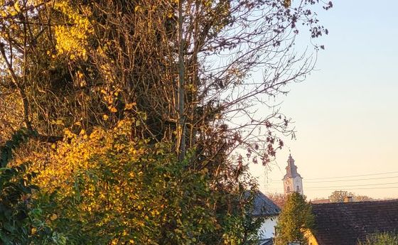 Sonntagsblatt / ©Bild für die Pfarrgemeinde Eferding/Ingrid Neundlinger