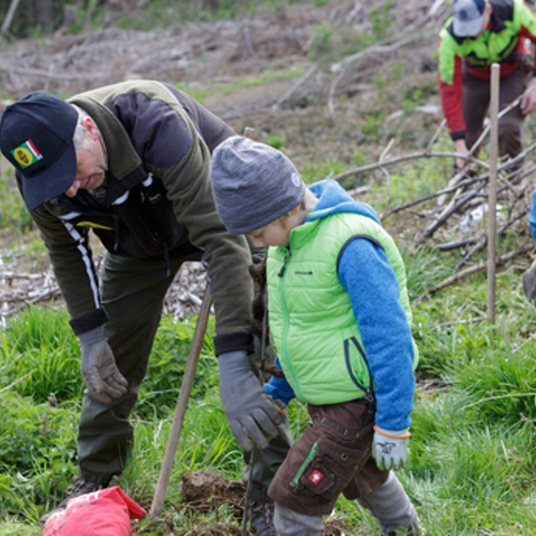 Baumpflanzung Petrinum 042022_3