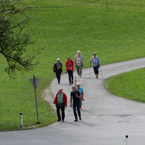 Wallfahrt nach Frauenstein