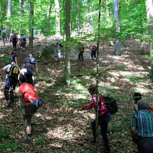 meditative Pilgerwanderung 28.4.18