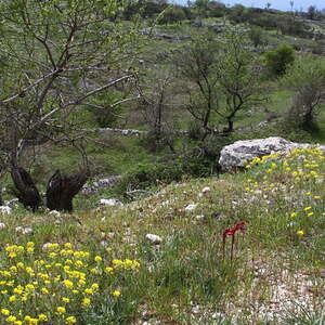 Pilgerreise nach Apulien