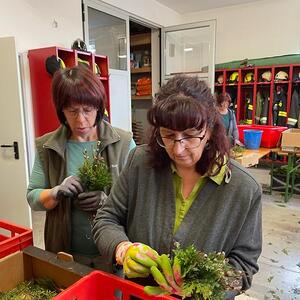 Palmbuschen binden 2023