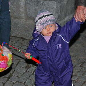 Das Fest des hl. Martin