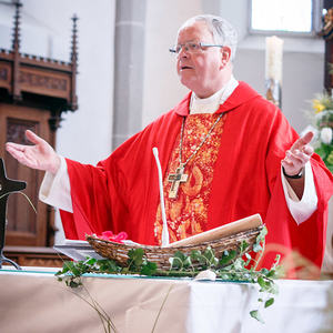 firmung pfarre sarleinsbach