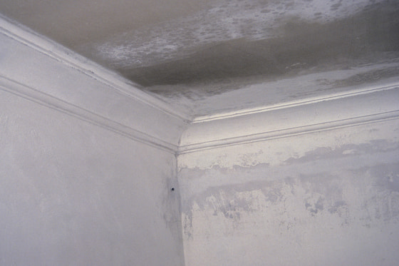 Oberfläche / Stephanusrunde teilweise abgebürstete Mauer