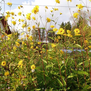 Veranstaltung Frauenherbst