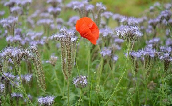 Was gibt es schöneres, als in der Natur unterwegs zu sein...