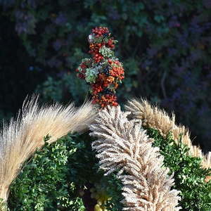 Fest in St. Quirinus